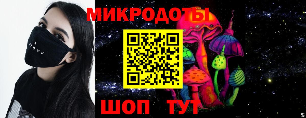 Псилоцибиновые грибы прущие грибы Курган